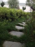 草地