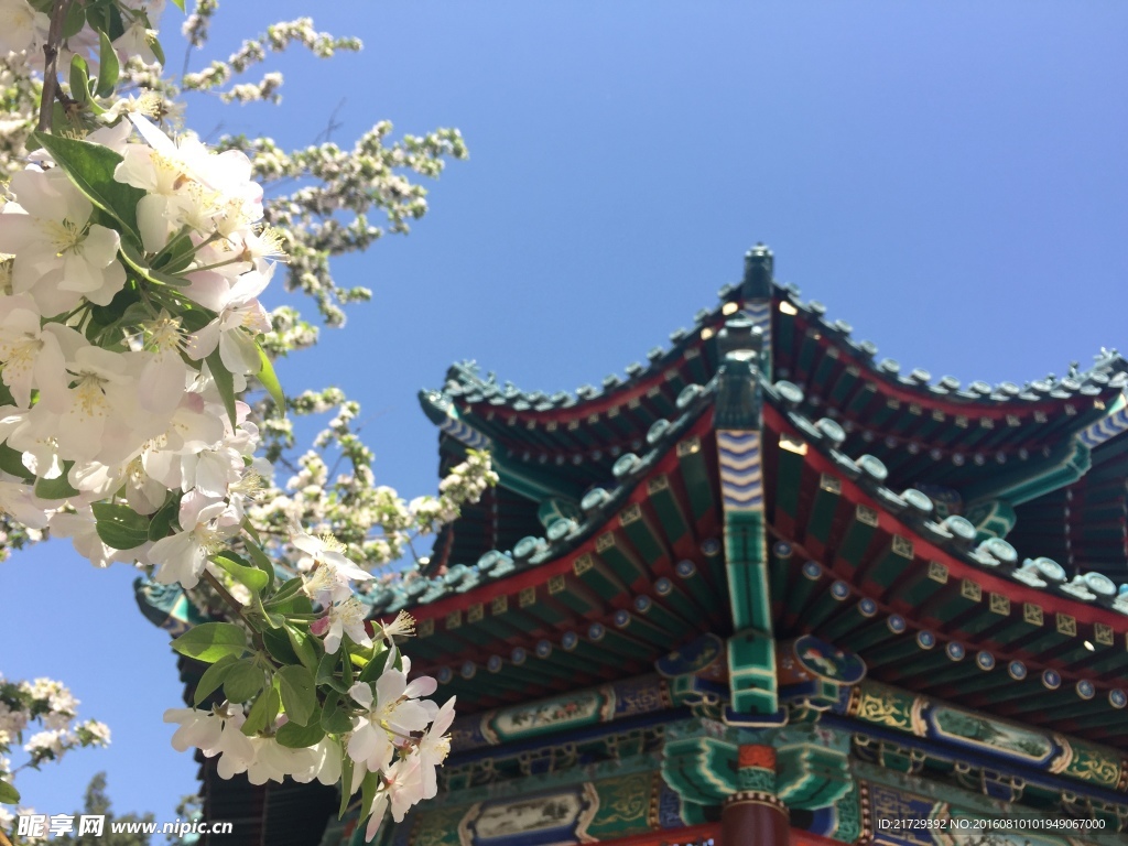亭台春景