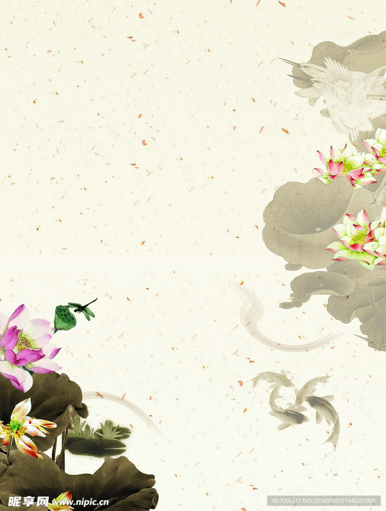 荷花