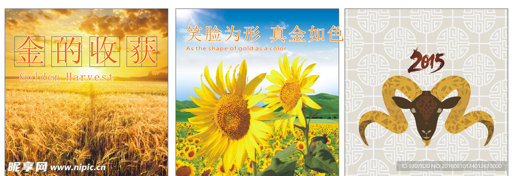 墙体画面