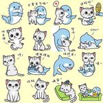 猫小爷和虎小鲸微信表情