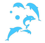 海豚