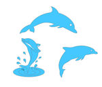 海豚