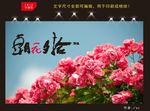 朝花夕拾