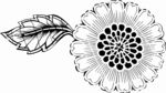 欧式花纹