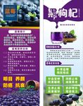 蓝莓 黑枸杞X展架