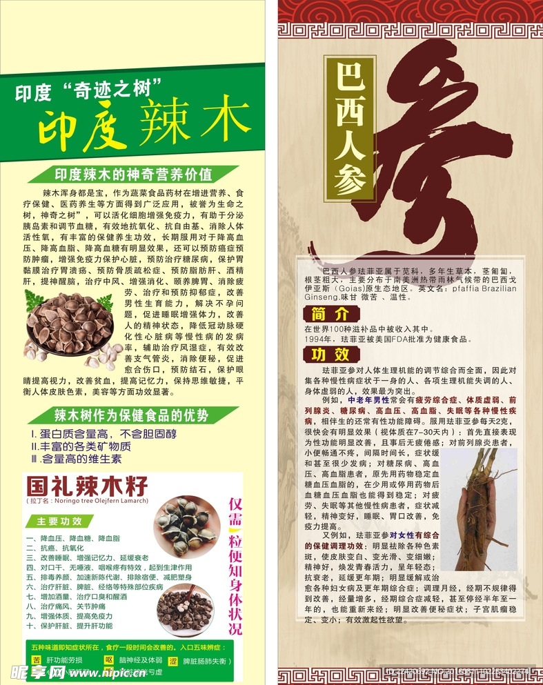 辣木 人参X展架
