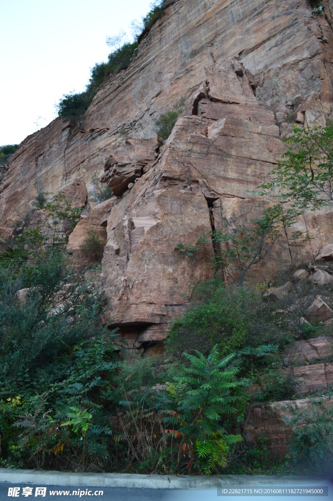 山