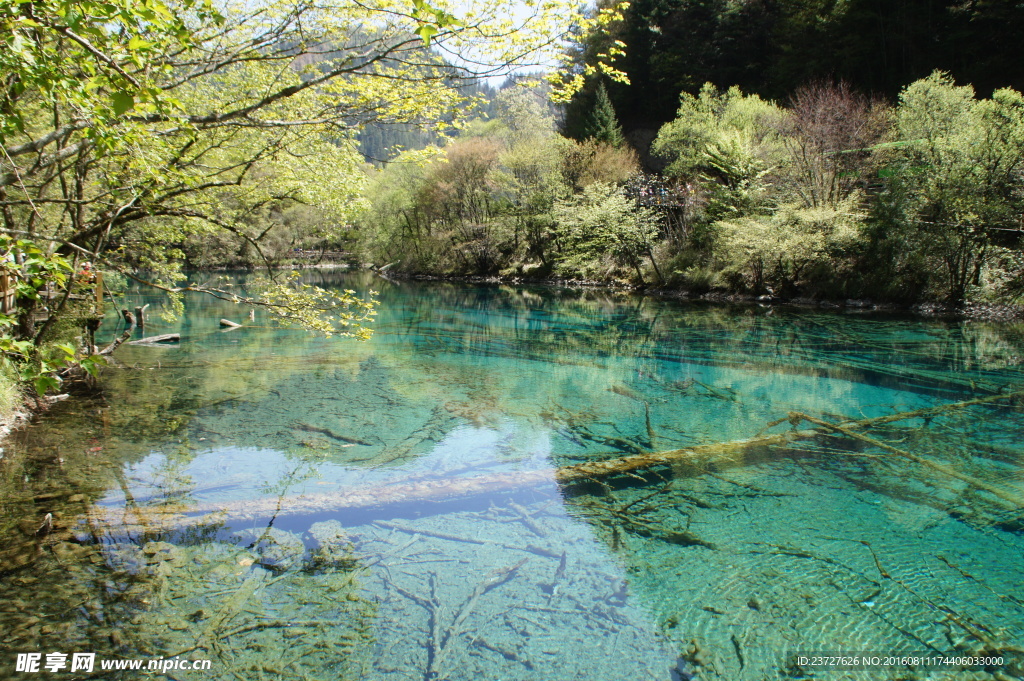 九寨沟的水