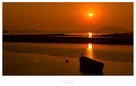 夕阳红