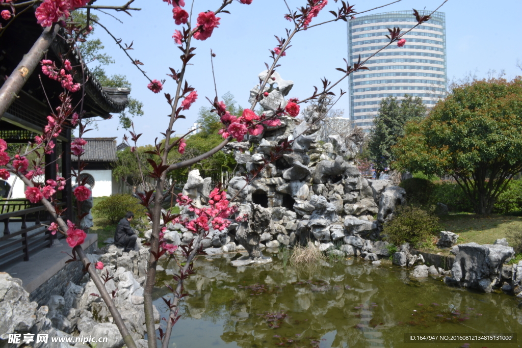 桃花