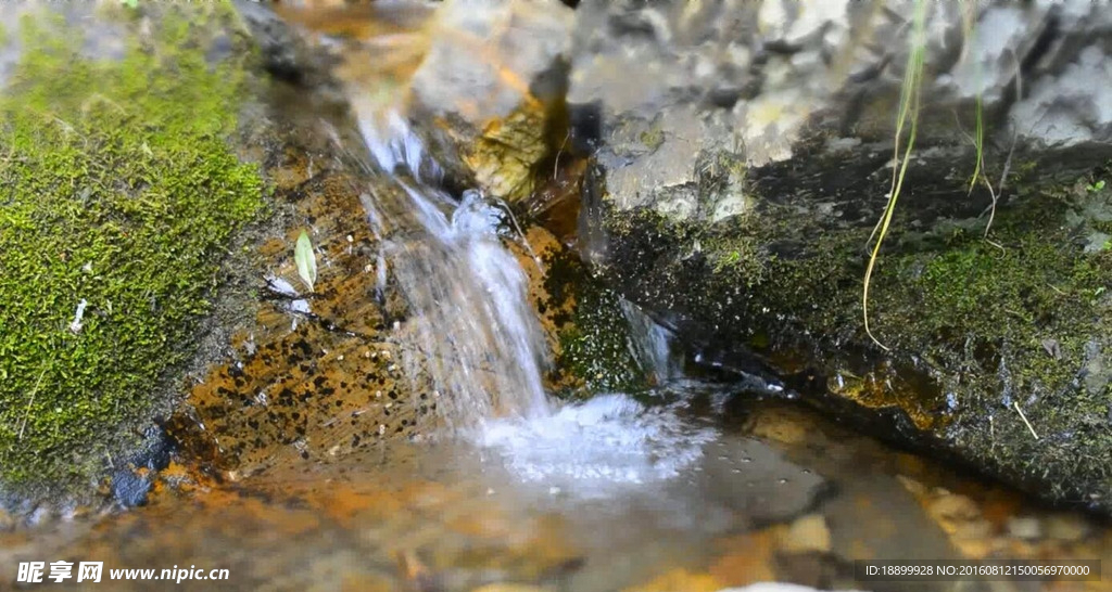 小泉流水