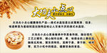 大功夫小点心