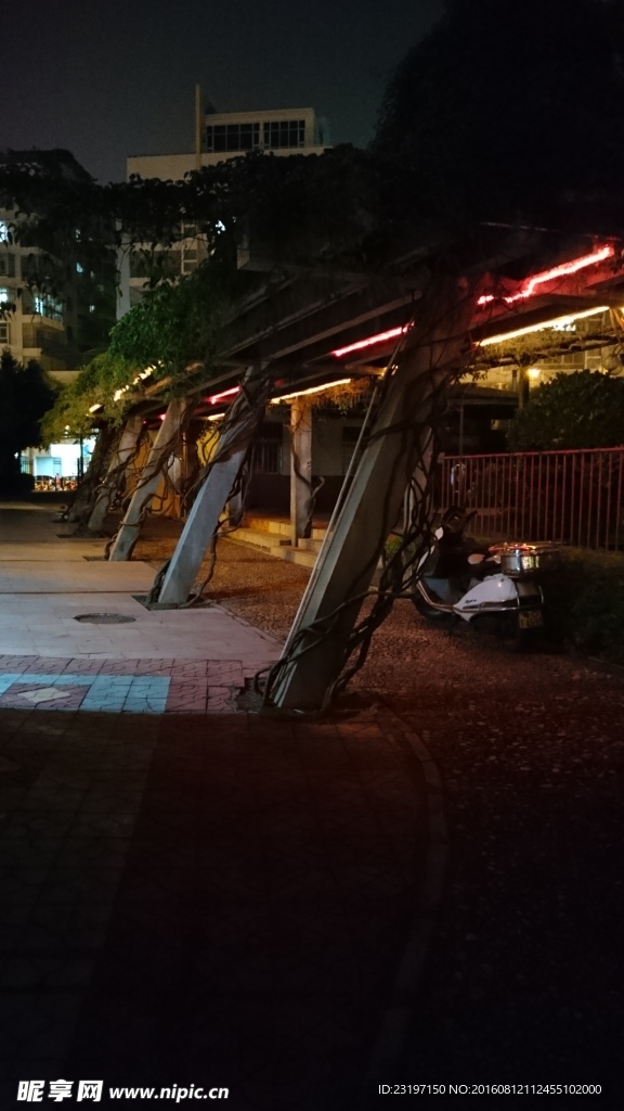 夜景