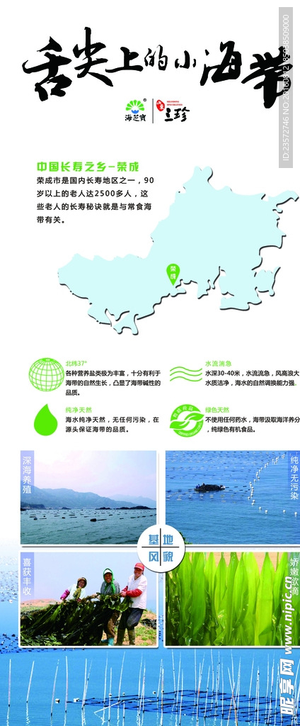舌尖上的小海带