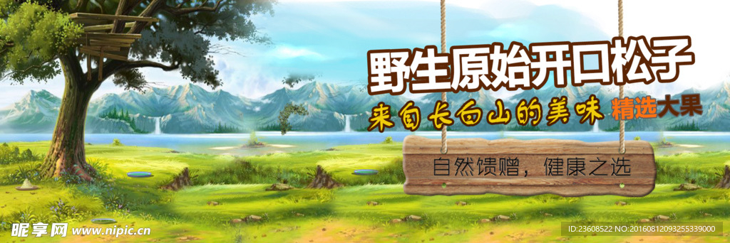 土特产松子海报