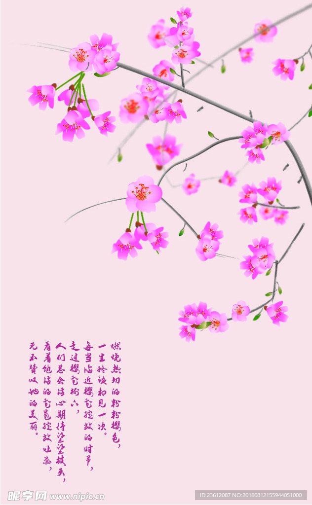 樱花