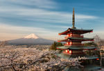 古塔