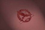 LOGO贴图