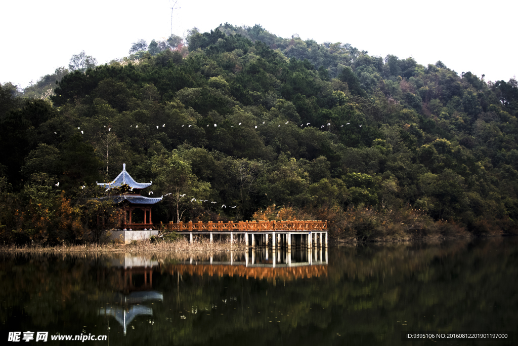 芦仙湖小景