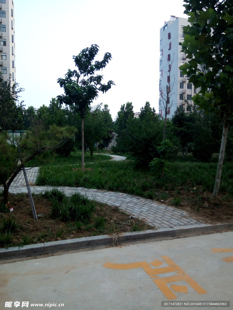 小区风景