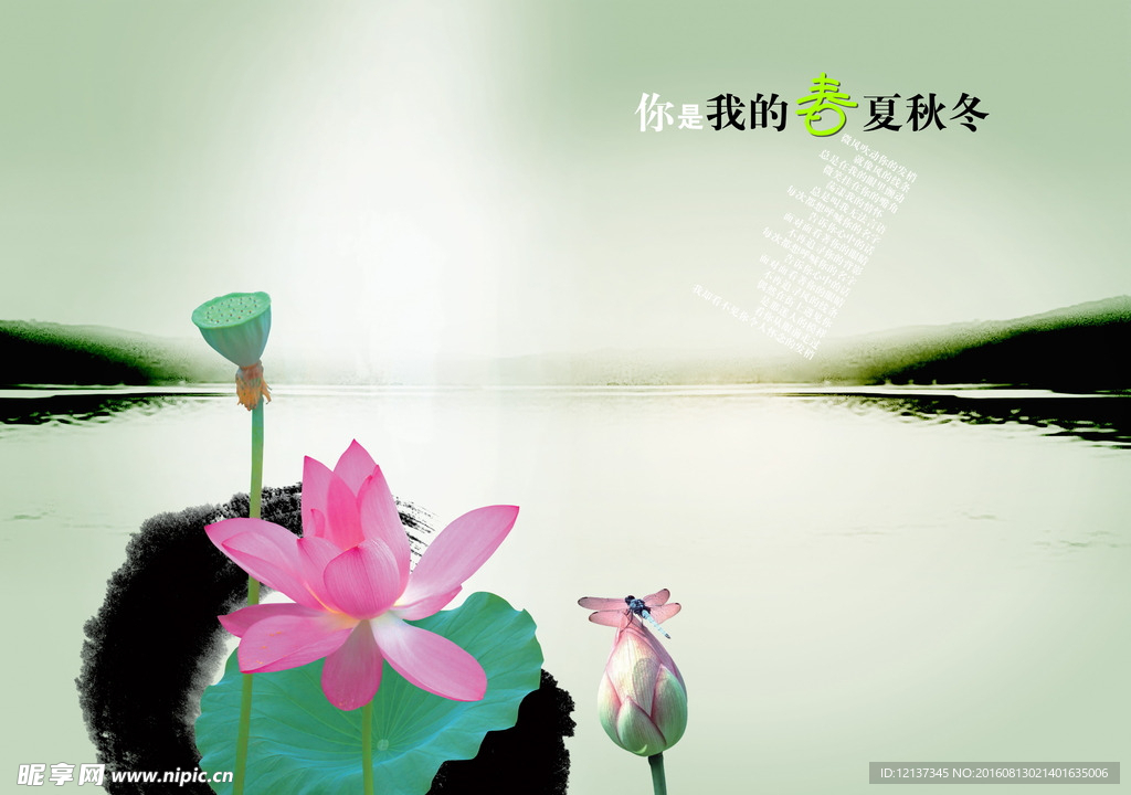 中国风 国画 荷花
