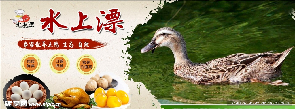 农家乐 鸭子 鸡 农产品 宣传