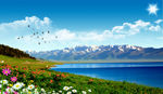 伊犁赛里木湖风景