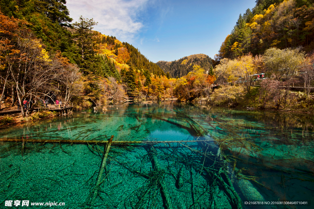 秋季风景