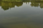 湖面
