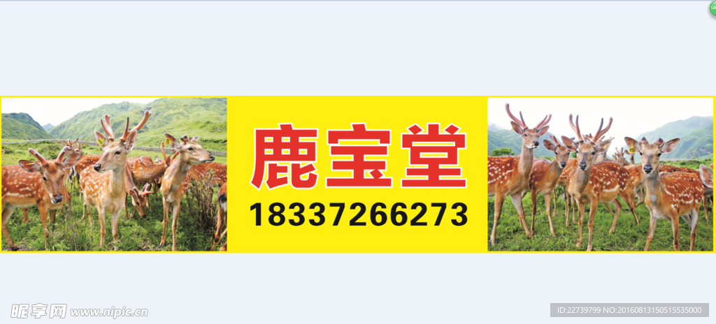 鹿宝堂
