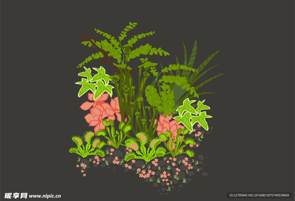 花花草草