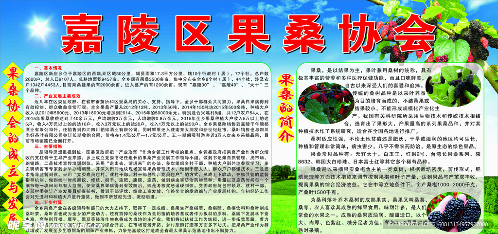 果桑展板