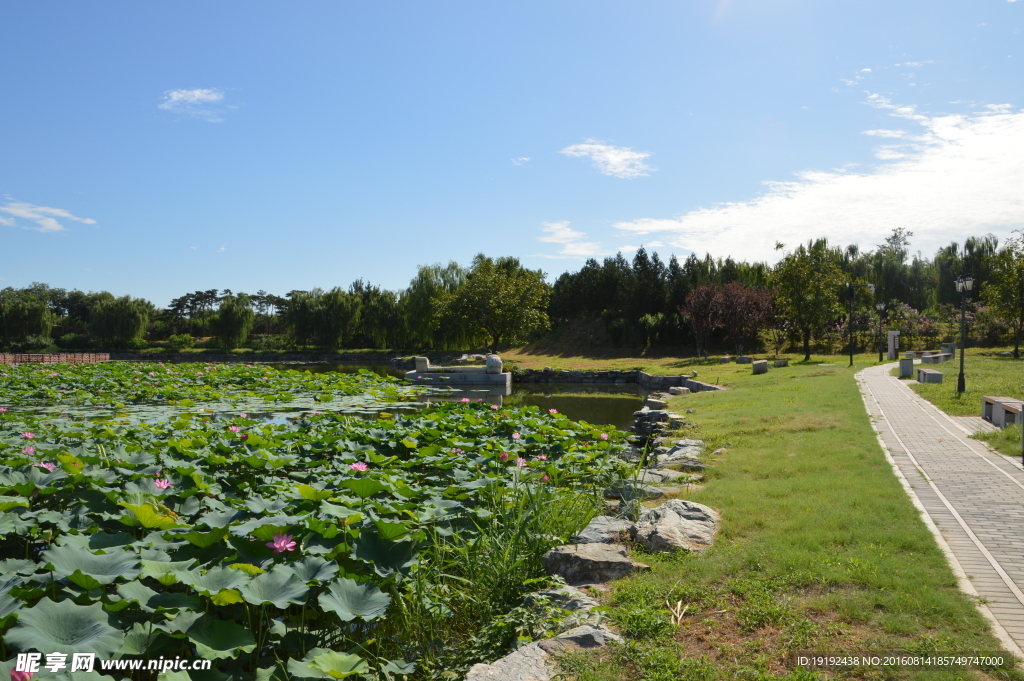 圆明园风景