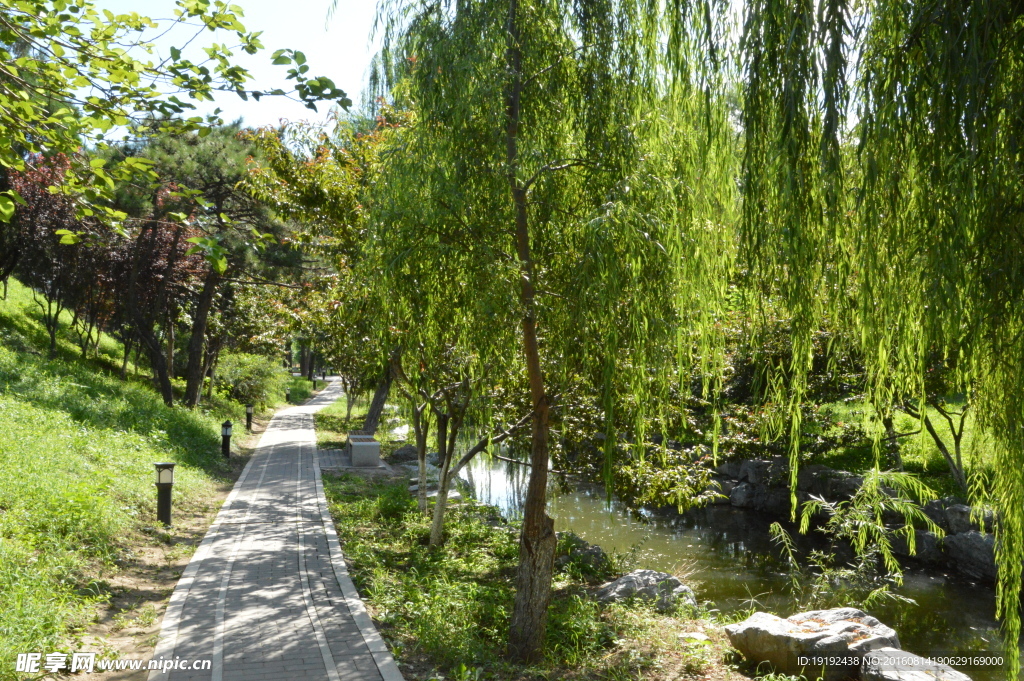 圆明园风景