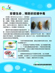 织纹螺宣传海报