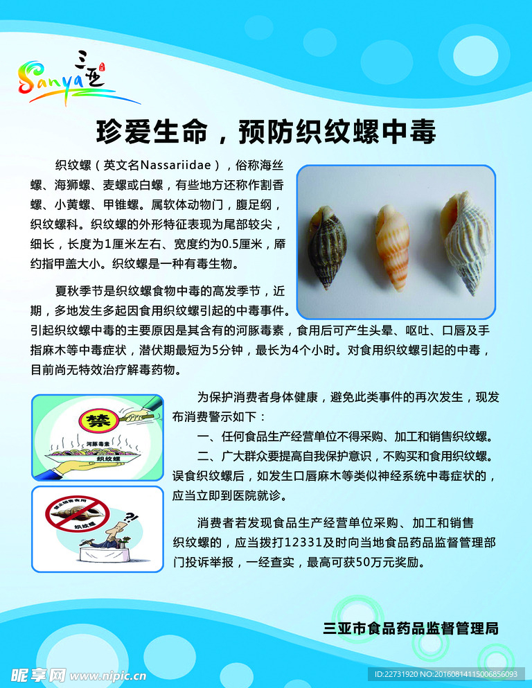 织纹螺宣传海报