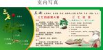三七