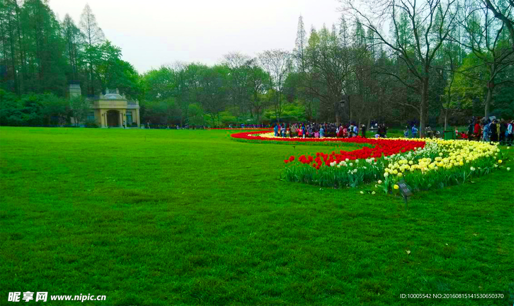 郁金香花园