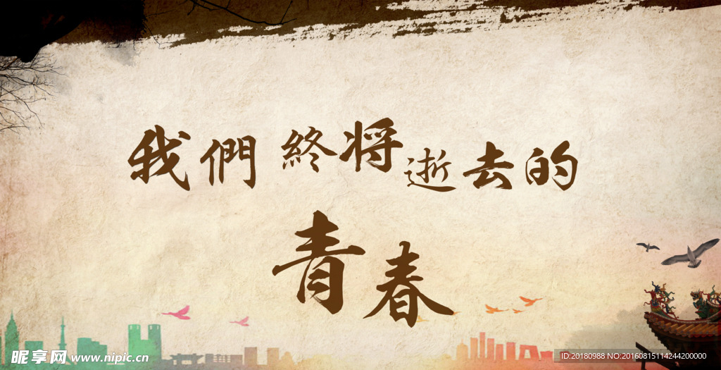 致青春