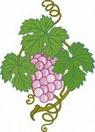 葡萄