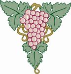 古典葡萄花纹