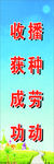 播种劳动 收获成功