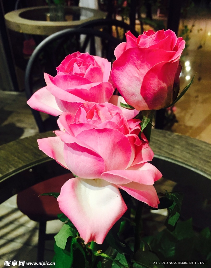 鲜花