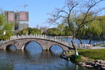 月湖小桥