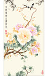 牡丹花