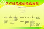 孕产妇危重症抢救流程