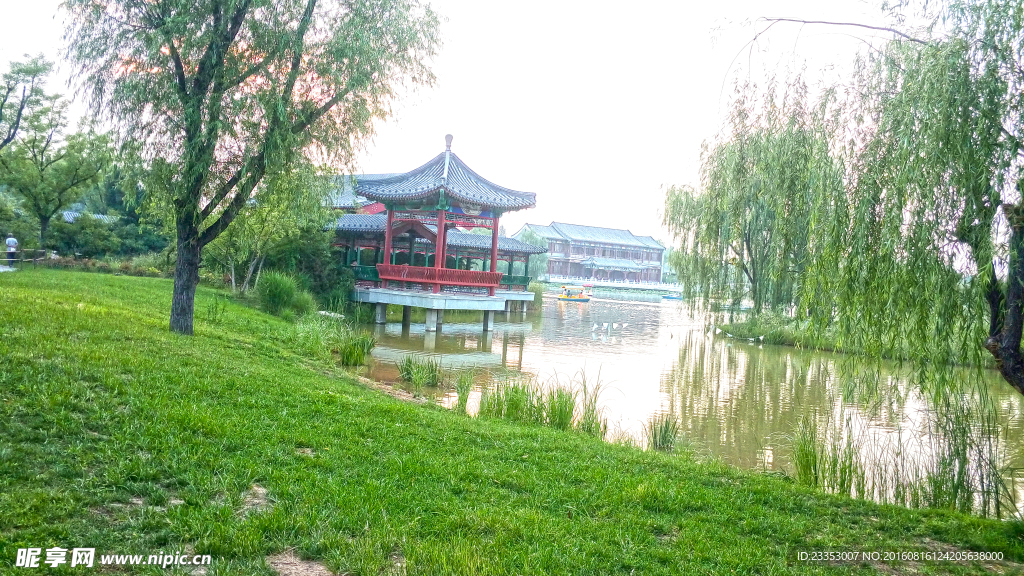 绿色草地 湖景
