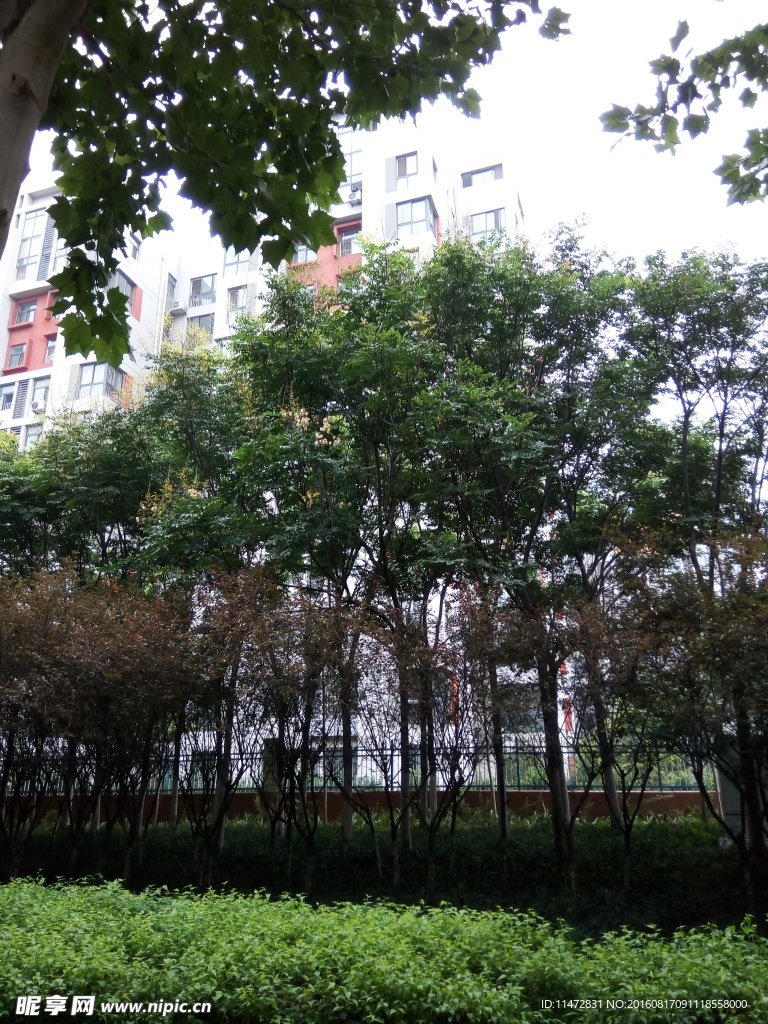 小区风景