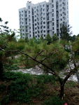 小区风景